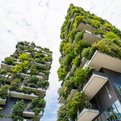 Green Building Practices
