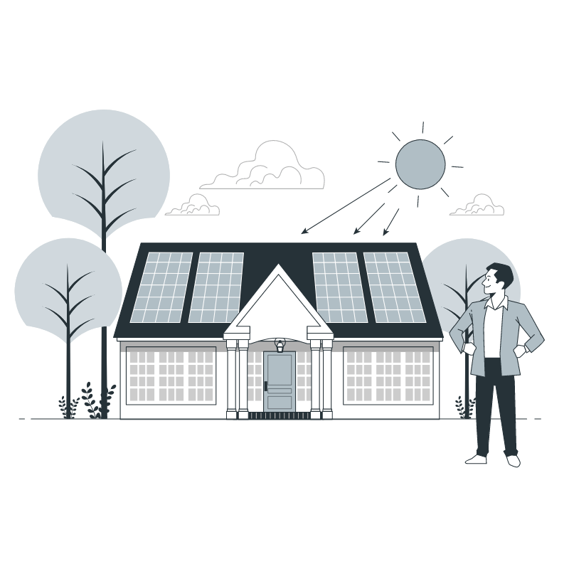 Renewable Energy And Sustainability